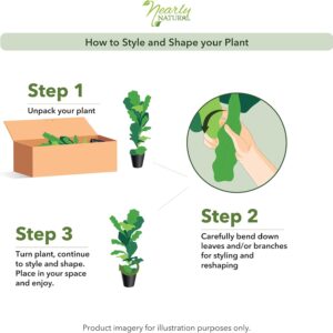 Artificial Dieffenbachia Plant with Decorative Wooden Planter - Image 3