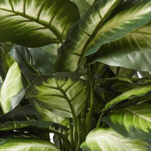 Artificial Dieffenbachia Plant with Decorative Wooden Planter - Image 8