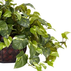 Artificial Pothos Plant in Woven Decorative Vase - Image 4