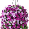 Vibrant Artificial Purple Morning Glory Hanging Basket